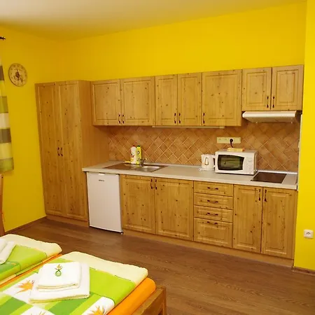 Ubytování a apartmány Sluníčko Lomnice nad Lužnicí Camera foto